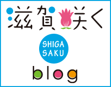 滋賀咲くテンプレート